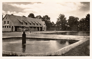 Senftenberg